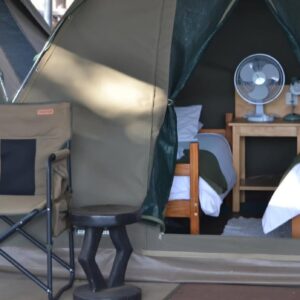 3-daagse Paardensafari Hwange - Zimbabwe - Afbeelding 43