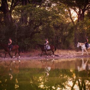 Vrijwilligersreis Hwange - Zimbabwe - Afbeelding 65
