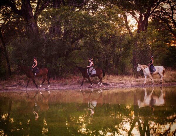 Vrijwilligersreis Hwange - Zimbabwe