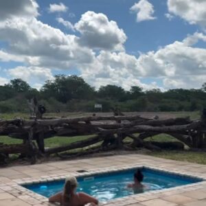 3-daagse Paardensafari Hwange - Zimbabwe - Afbeelding 33