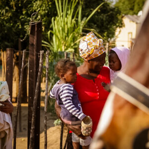 Vrijwilligersreis Hwange - Zimbabwe - Afbeelding 69