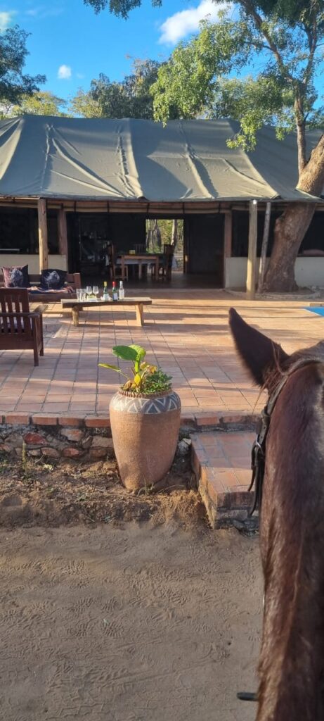 3-daagse Paardensafari Hwange - Zimbabwe
