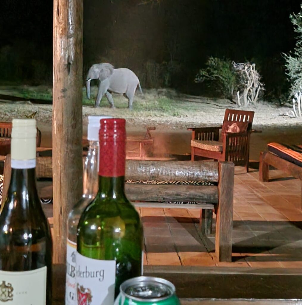 3-daagse Paardensafari Hwange - Zimbabwe
