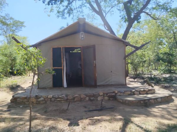 5-daagse Paardensafari Hwange - Zimbabwe