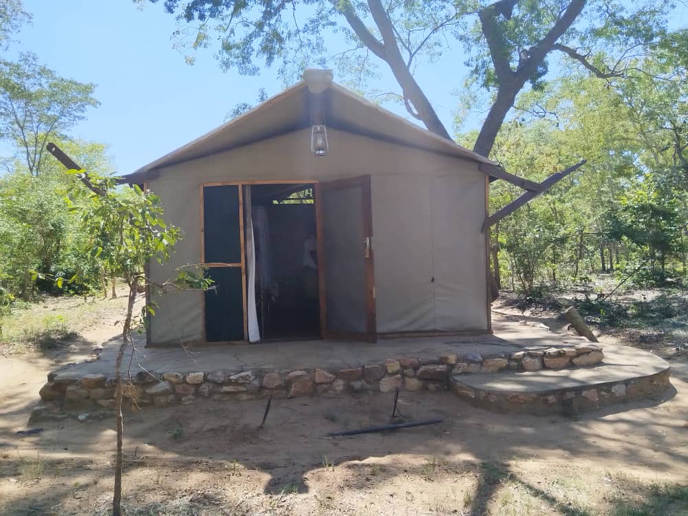 5-daagse Paardensafari Hwange - Zimbabwe - Afbeelding 38