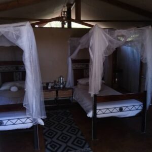 3-daagse Paardensafari Hwange - Zimbabwe - Afbeelding 39