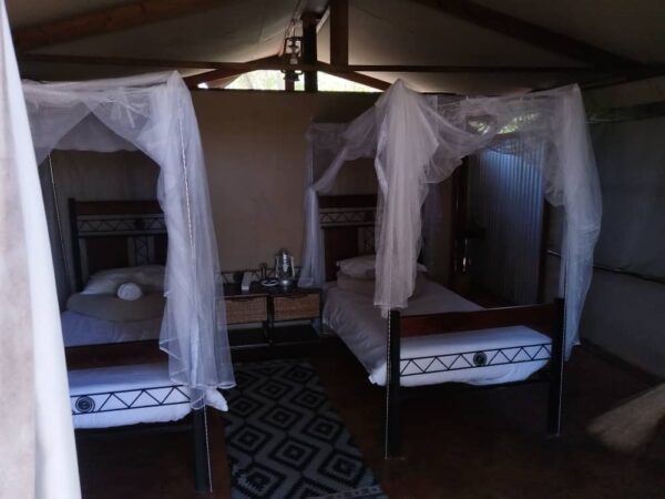3-daagse Paardensafari Hwange - Zimbabwe