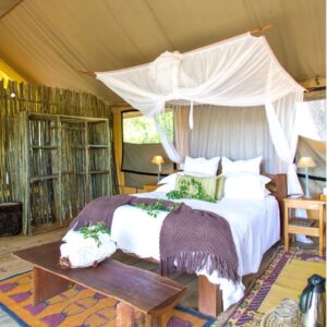 3-daagse Paardensafari Hwange - Zimbabwe - Afbeelding 41