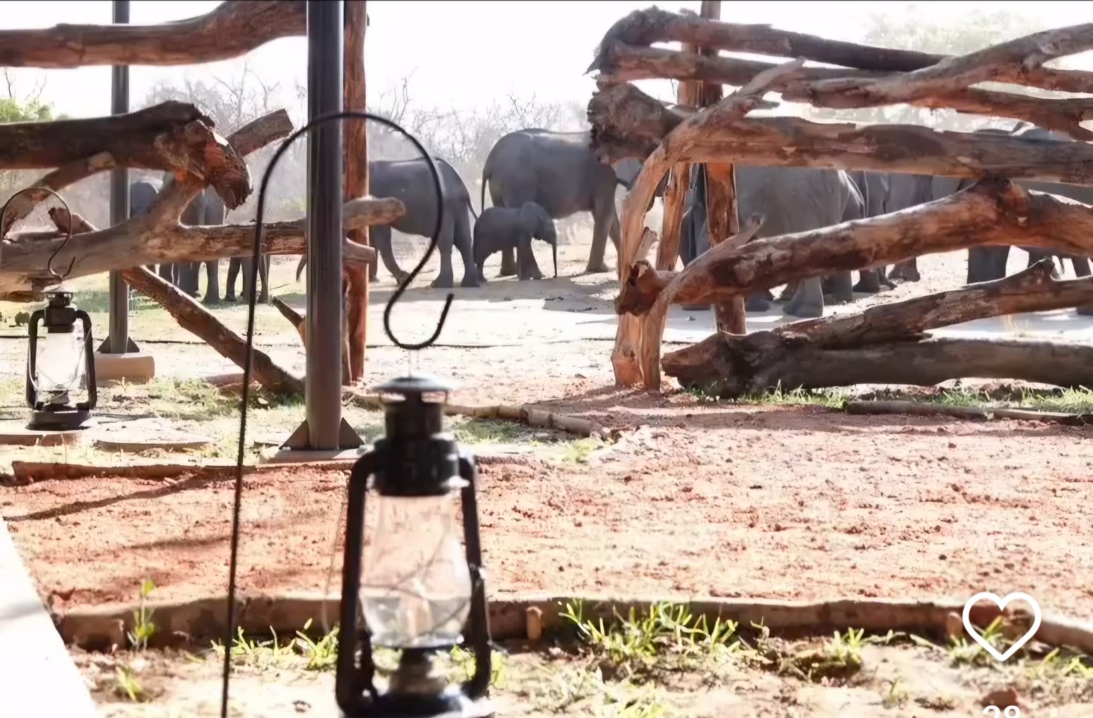 3-daagse Paardensafari Hwange - Zimbabwe