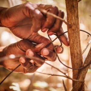 Vrijwilligersreis Hwange - Zimbabwe - Afbeelding 61