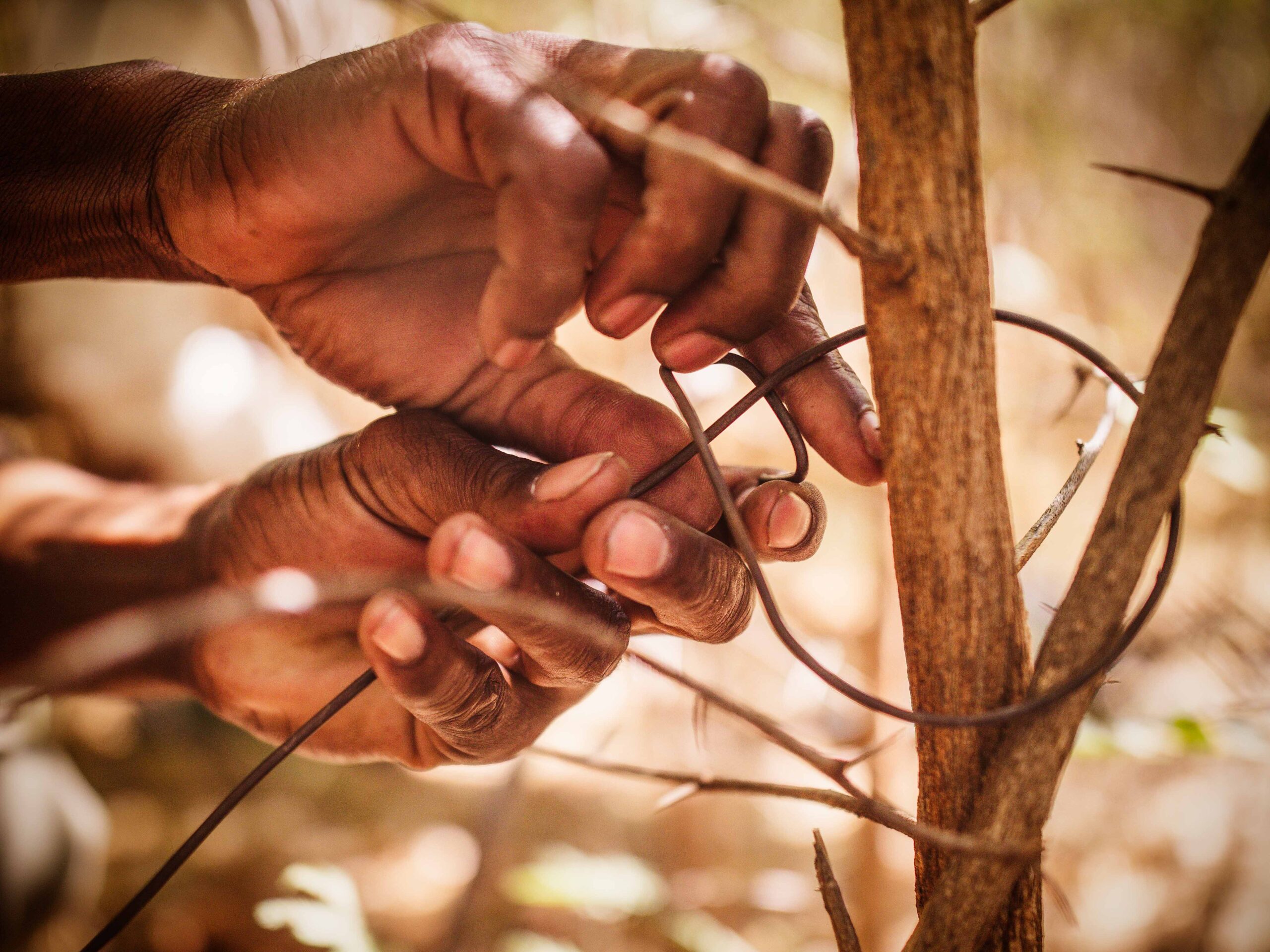 Vrijwilligersreis Hwange - Zimbabwe - Afbeelding 61