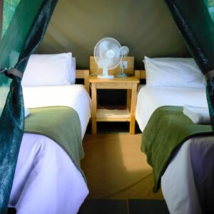 3-daagse Paardensafari Hwange - Zimbabwe - Afbeelding 46