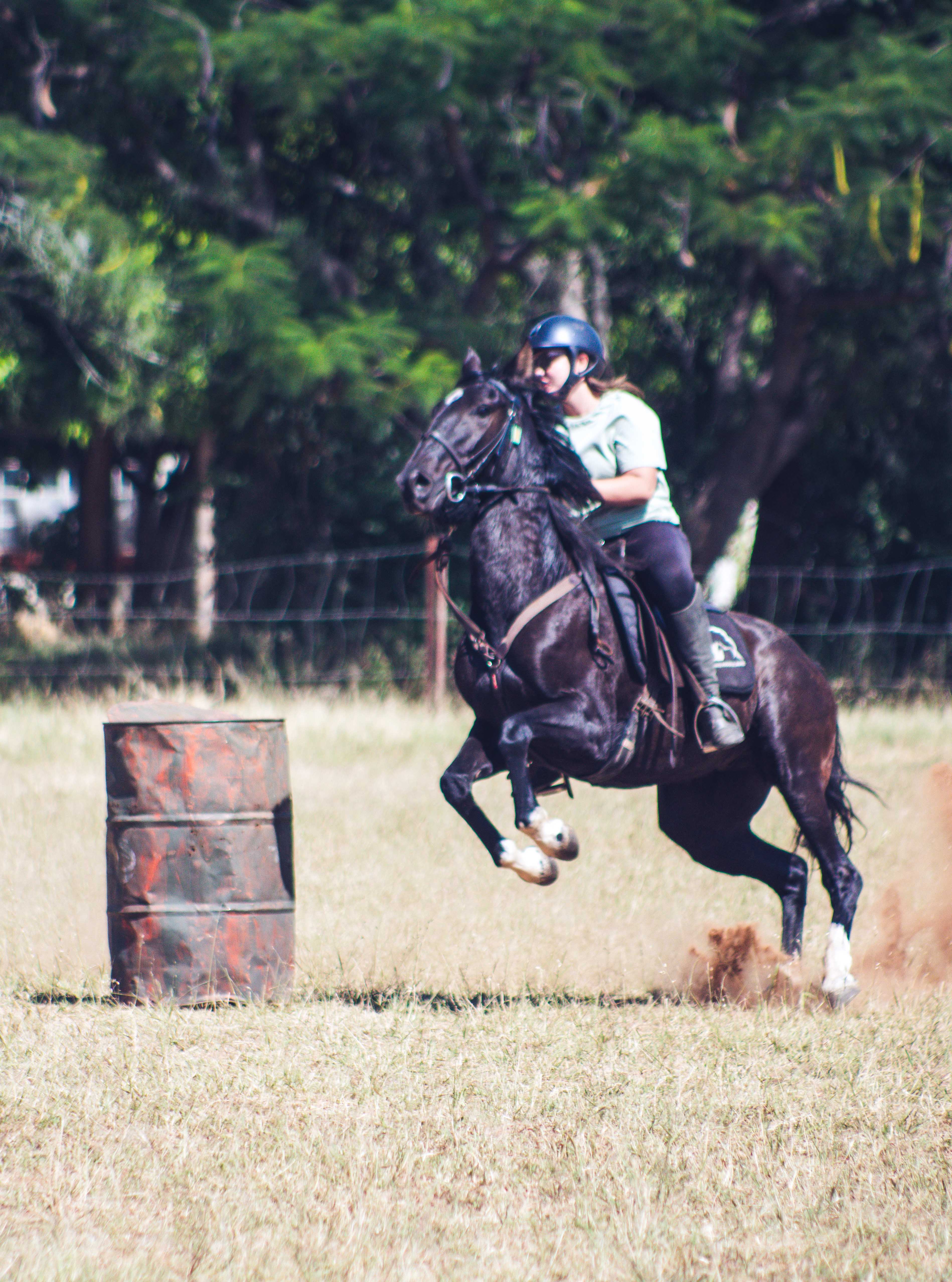 Vrijwilligersreis Hwange - Zimbabwe - Afbeelding 71