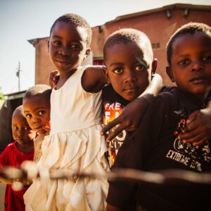 Vrijwilligersreis Hwange - Zimbabwe - Afbeelding 62