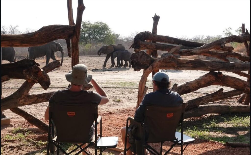 3-daagse Paardensafari Hwange - Zimbabwe