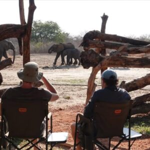 3-daagse Paardensafari Hwange - Zimbabwe - Afbeelding 45