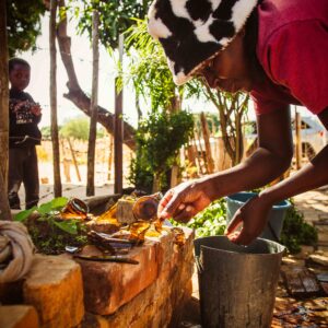 Vrijwilligersreis Hwange - Zimbabwe - Afbeelding 63