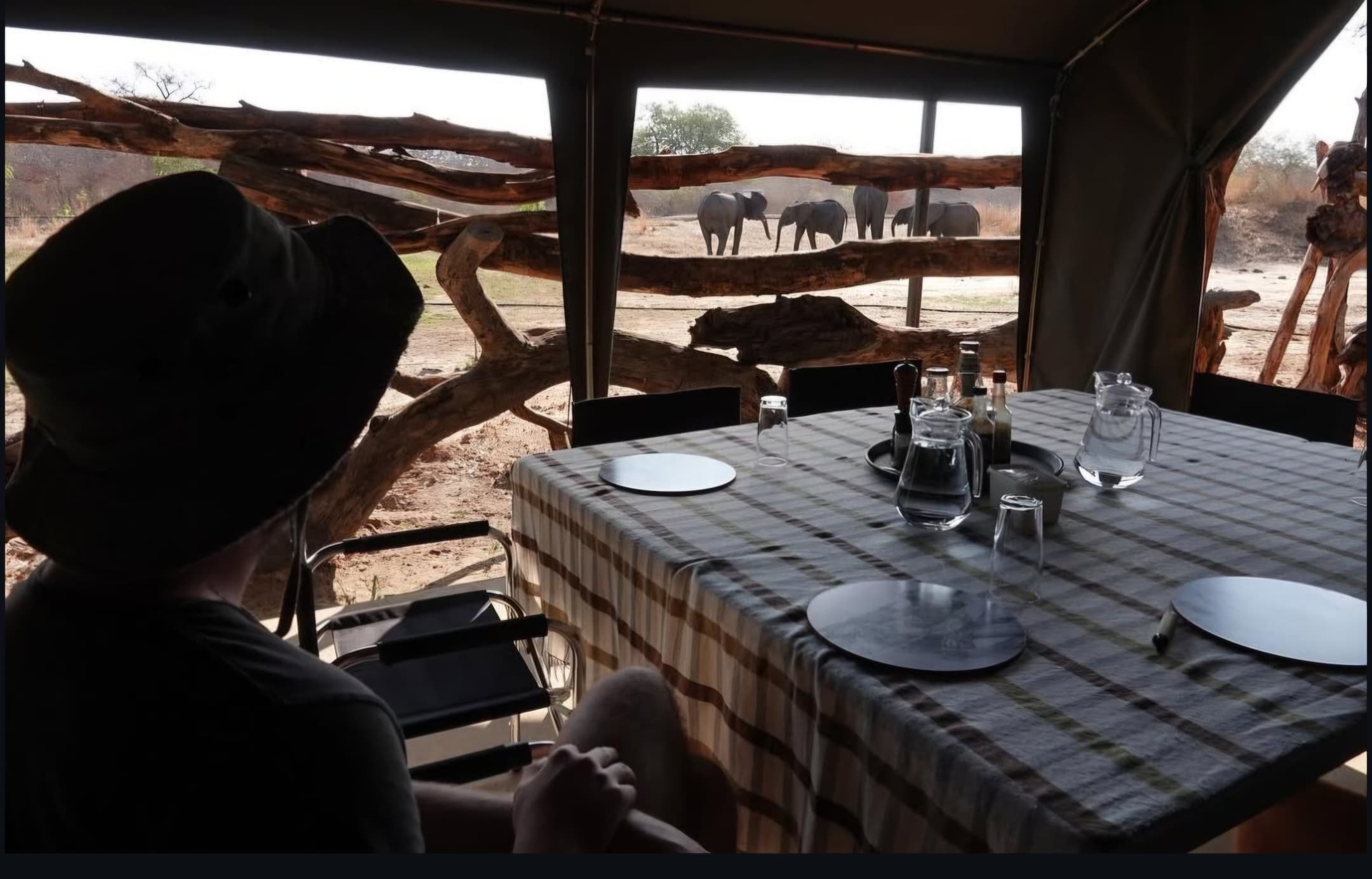 3-daagse Paardensafari Hwange - Zimbabwe