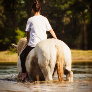 Vrijwilligersreis Hwange - Zimbabwe - Afbeelding 64