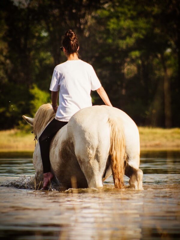 Vrijwilligersreis Hwange - Zimbabwe