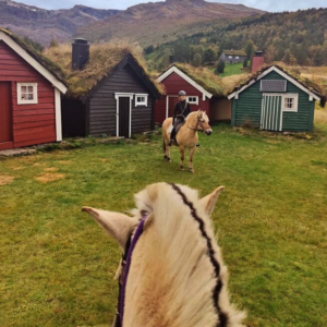 3-daagse Fjord Ride Weekend – Westkust - Noorwegen - Afbeelding 3