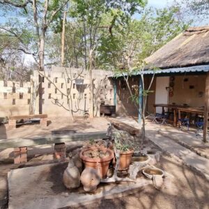 Vrijwilligersreis Hwange - Zimbabwe - Afbeelding 87