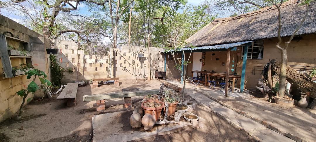 Vrijwilligersreis Hwange - Zimbabwe
