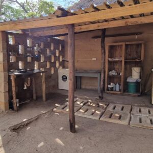 Vrijwilligersreis Hwange - Zimbabwe - Afbeelding 81