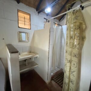 Vrijwilligersreis Hwange - Zimbabwe - Afbeelding 83