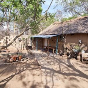 Vrijwilligersreis Hwange - Zimbabwe - Afbeelding 84