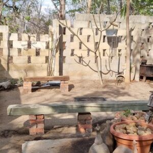 Vrijwilligersreis Hwange - Zimbabwe - Afbeelding 85