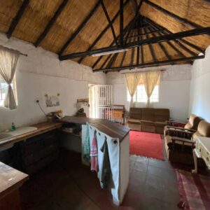 Vrijwilligersreis Hwange - Zimbabwe - Afbeelding 73