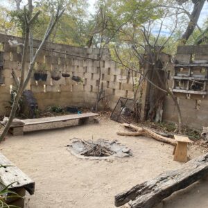 Vrijwilligersreis Hwange - Zimbabwe - Afbeelding 89