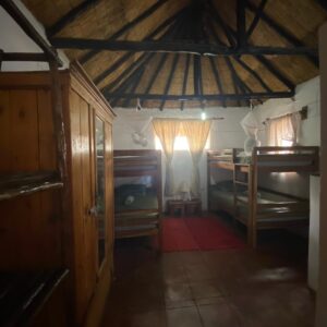 Vrijwilligersreis Hwange - Zimbabwe - Afbeelding 74