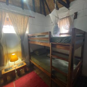 Vrijwilligersreis Hwange - Zimbabwe - Afbeelding 75