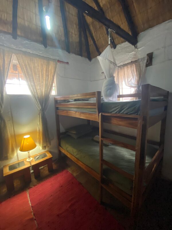 Vrijwilligersreis Hwange - Zimbabwe