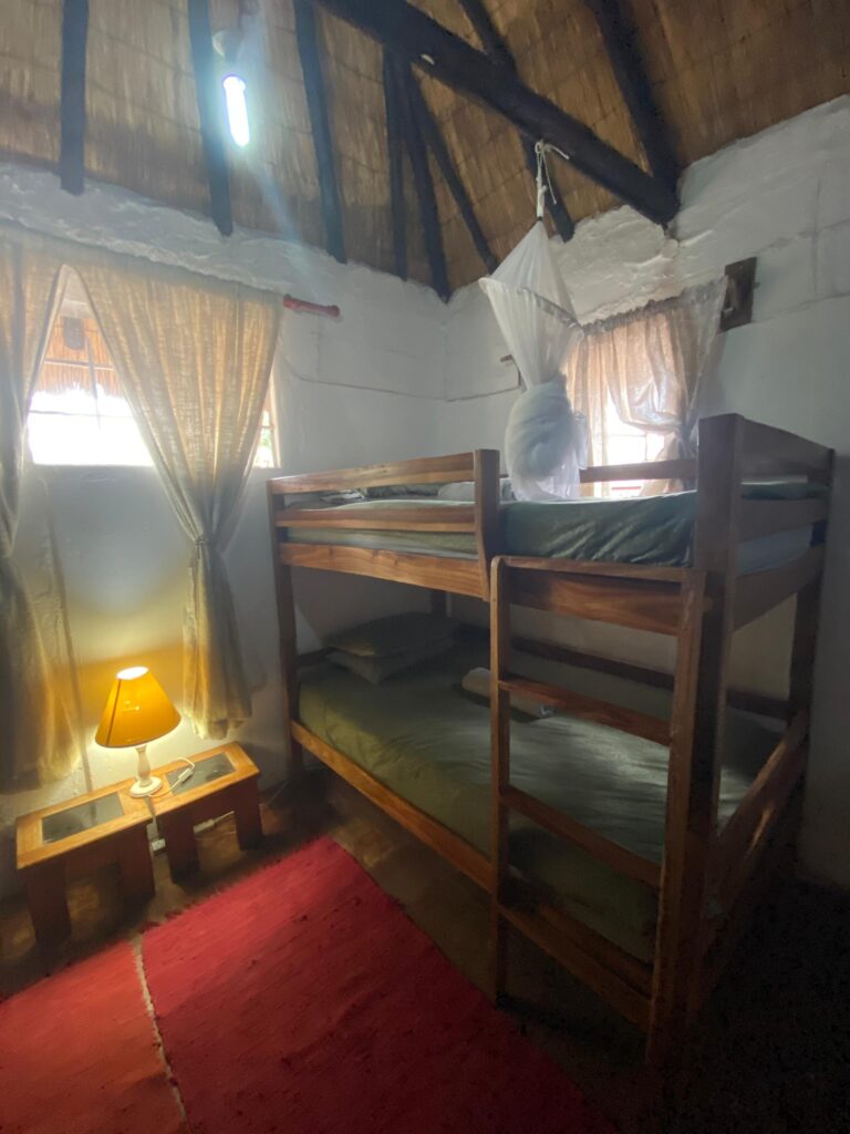Vrijwilligersreis Hwange - Zimbabwe