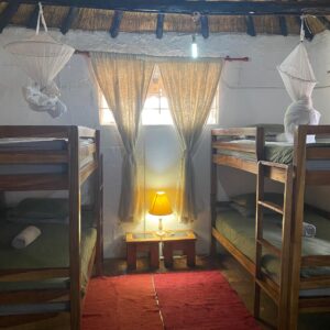 Vrijwilligersreis Hwange - Zimbabwe - Afbeelding 76