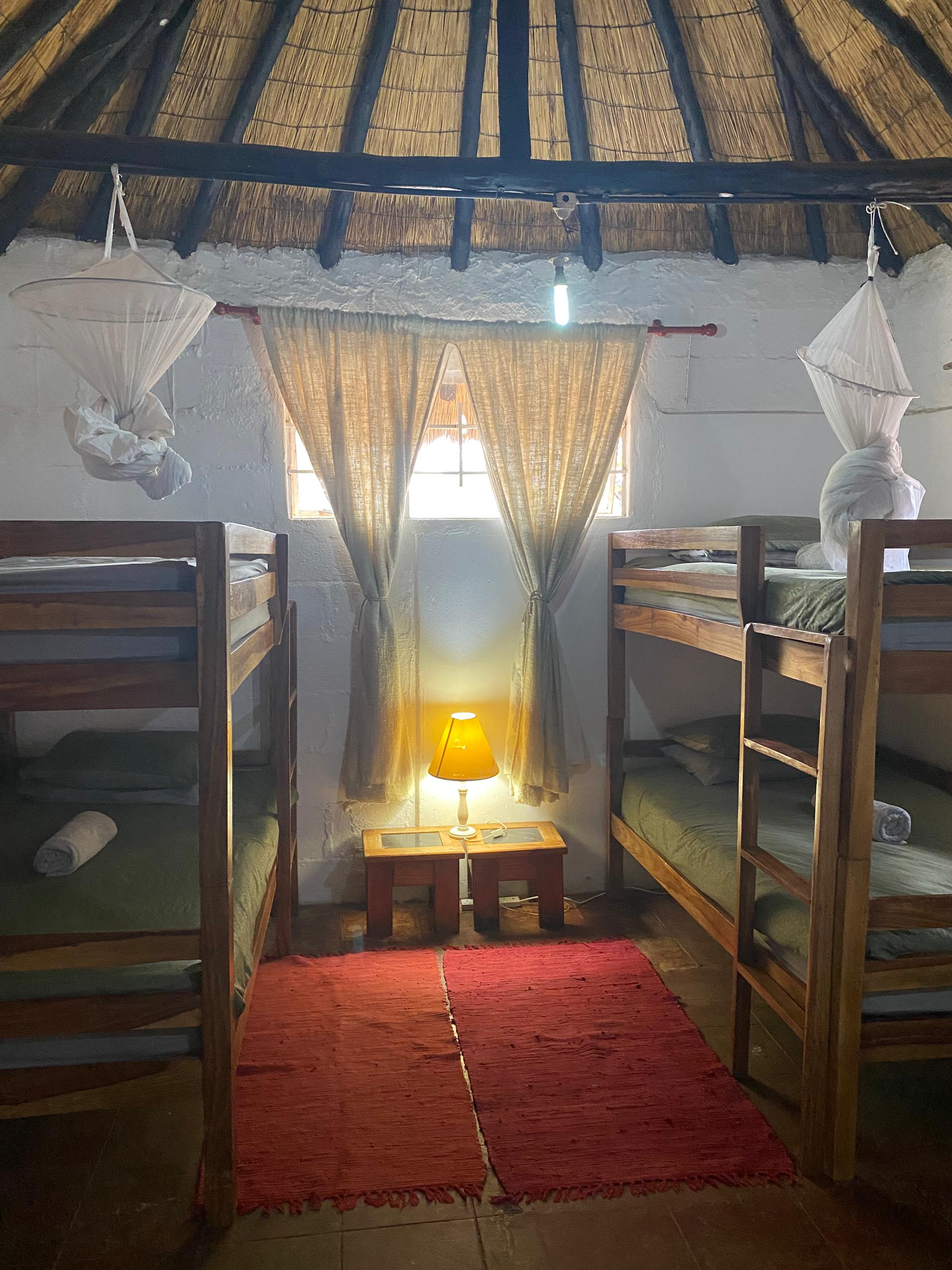 Vrijwilligersreis Hwange - Zimbabwe - Afbeelding 76
