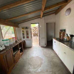 Vrijwilligersreis Hwange - Zimbabwe - Afbeelding 77