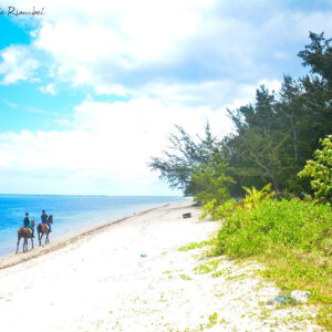 Buitenrit: Strandrit Riambel - Mauritius - Afbeelding 5
