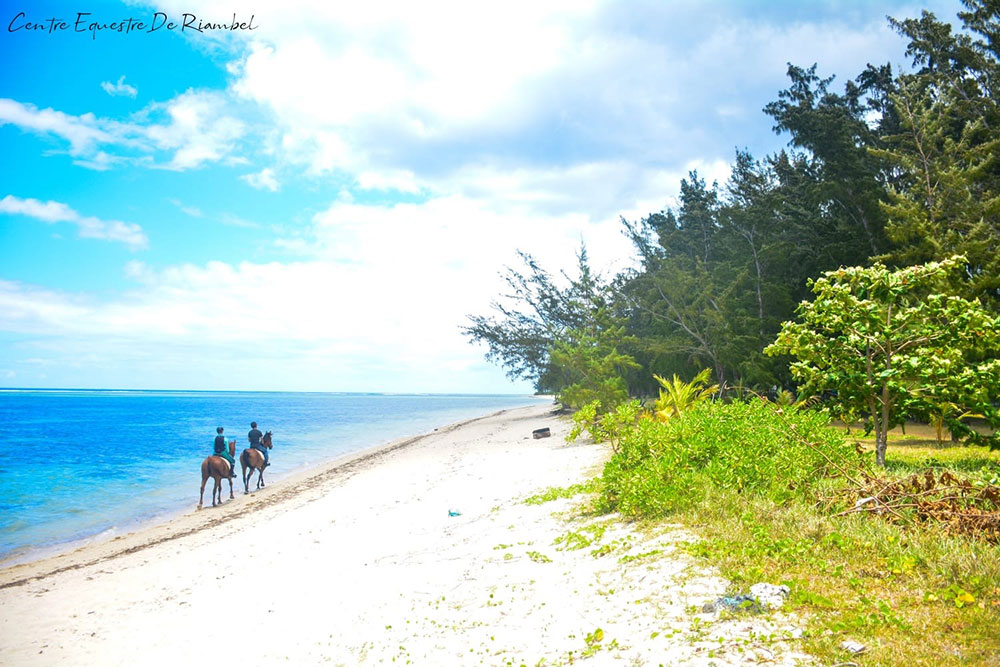 Buitenrit: Strandrit Riambel - Mauritius - Afbeelding 5