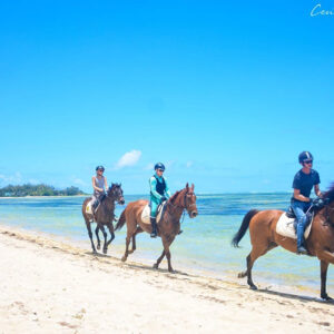 Buitenrit: Strand- en natuurrit Riambel - Mauritius - Afbeelding 5