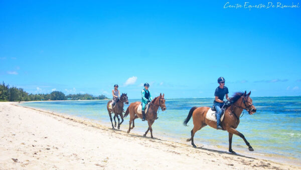 Buitenrit: Strand- en natuurrit Riambel - Mauritius