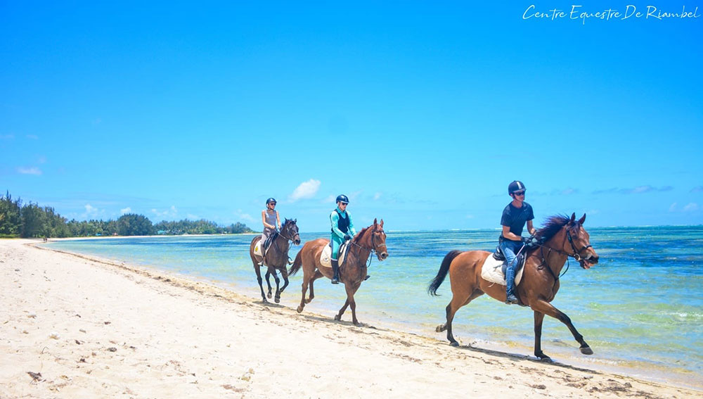 Buitenrit: Strand- en natuurrit Riambel - Mauritius - Afbeelding 5