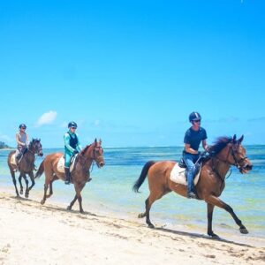 Buitenrit: Strandrit Riambel - Mauritius - Afbeelding 1