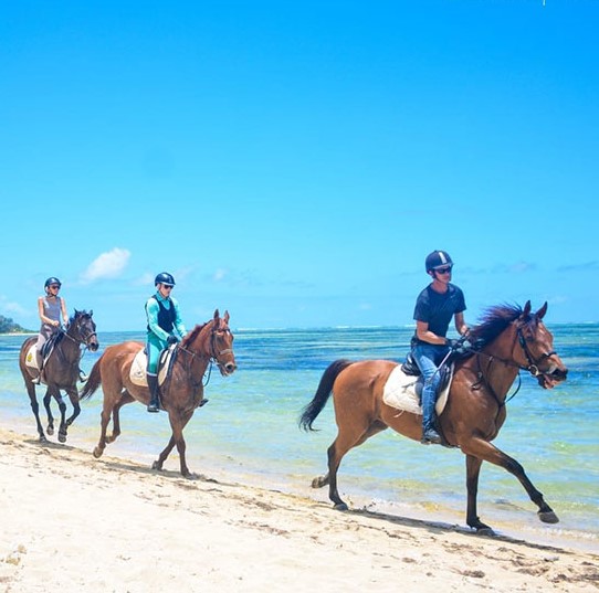 Buitenrit: Strandrit Riambel - Mauritius