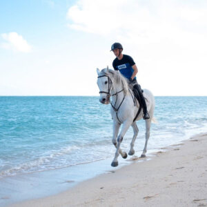 Buitenrit: Strandrit Riambel - Mauritius - Afbeelding 15