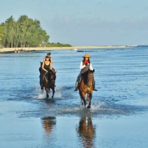 Buitenrit: Strandrit Riambel - Mauritius - Afbeelding 7