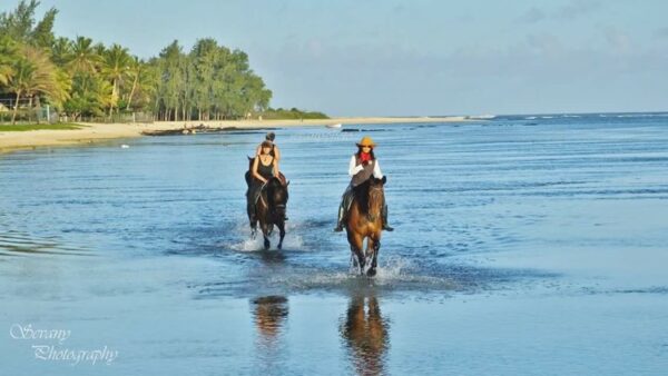 Buitenrit: Strandrit Riambel - Mauritius